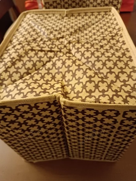 Düzenleyici Organizer - Çok Amaçlı Dolap Içi Kutu ,4 adet lot süpriz fiyat - Ebat : 30 x 25 x 23 cm. Çift hazneli - 2