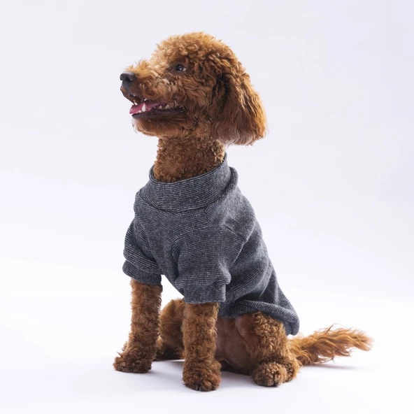 PawStar Siyah Merino Sweat Küçük ve Orta Irk - Resim 4
