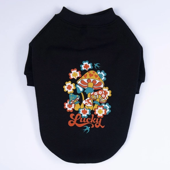 PawStar Siyah Chogqing Sweat Küçük ve Orta Irk - 4