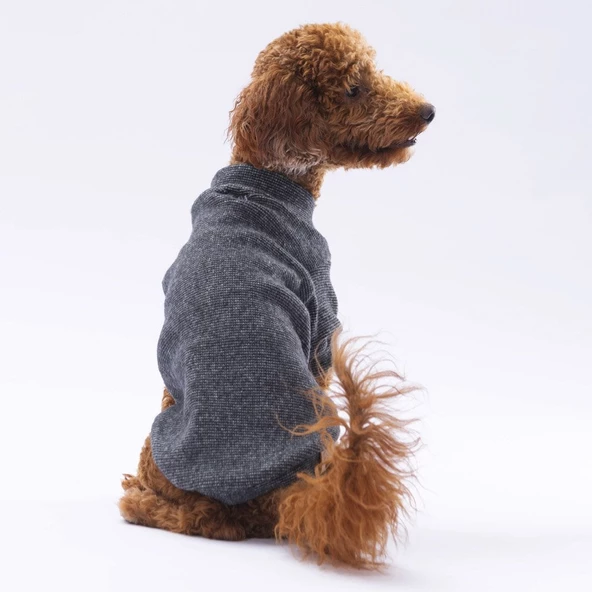 PawStar Siyah Merino Sweat Küçük ve Orta Irk - Resim 2