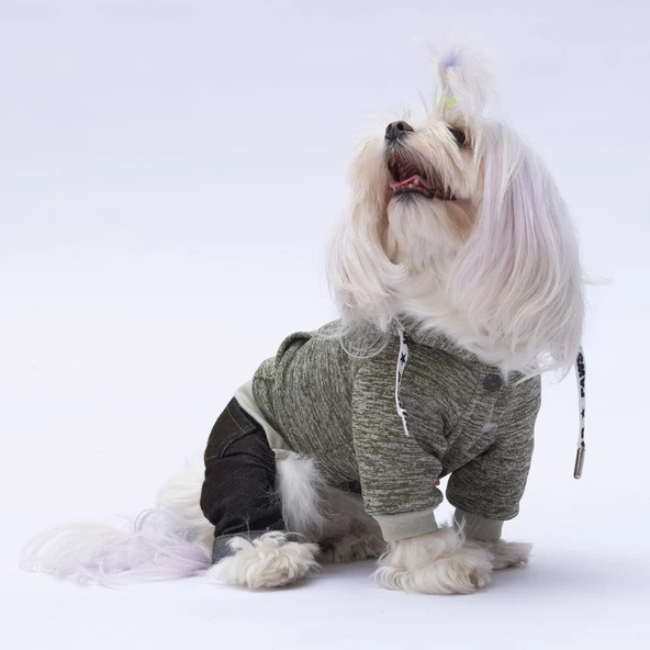 PawStar Yeşil New York Tulum - 2