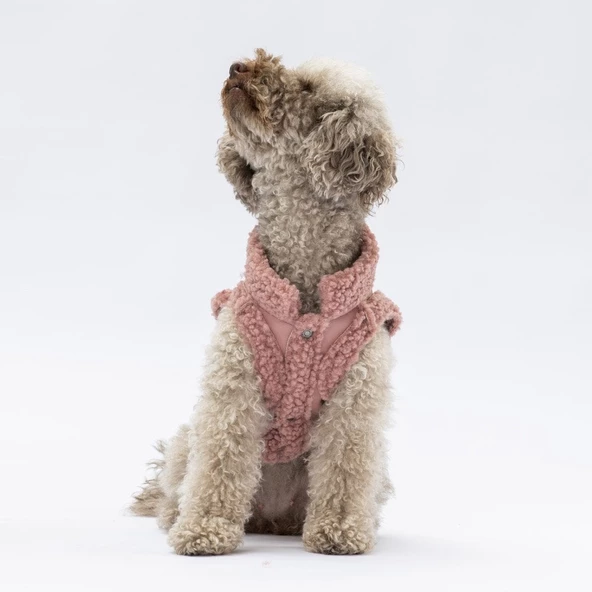 PawStar Rose Churchill Kolsuz Yelek Küçük ve Orta Irk - Resim 4
