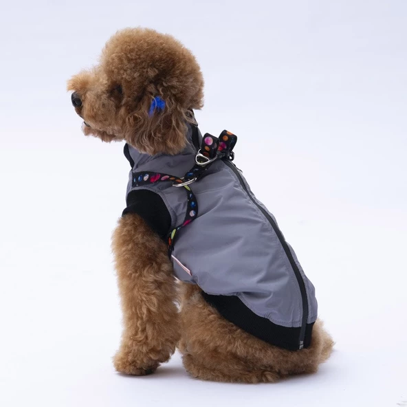 PawStar  Gri Nuuk Kolsuz Yelek Yağmurluk Küçük ve Orta Irk - 3