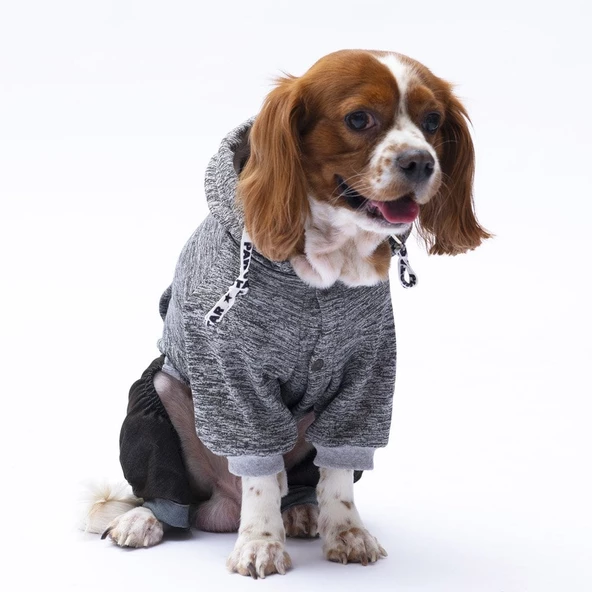 PawStar Siyah New York Tulum - 3