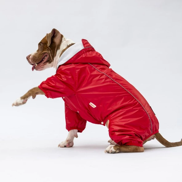 PawStar Kırmızı Muson Büyük Irk Yağmurluk - 5