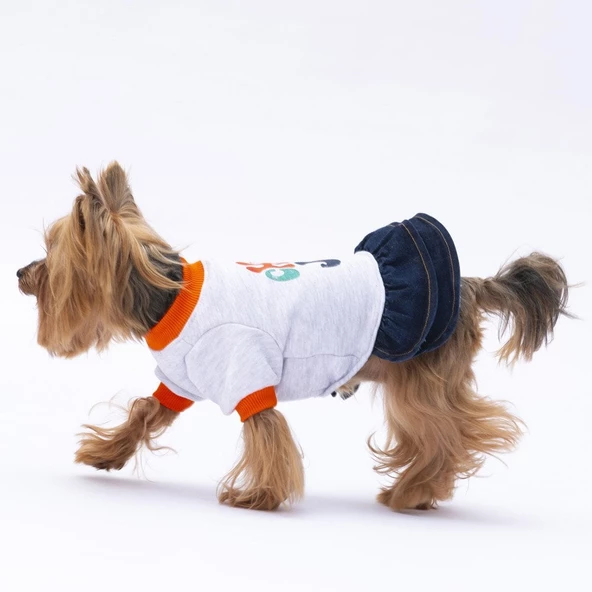 PawStar Gri Santa Rosa Elbise - Resim 3