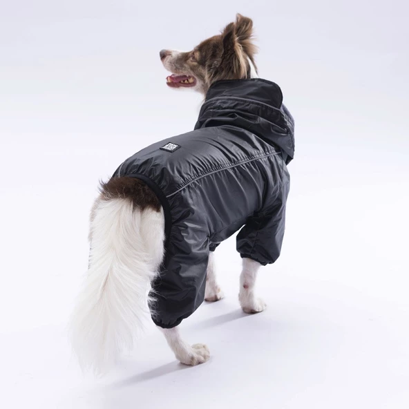 PawStar  Siyah Muson Tulum Yağmurluk Küçük ve Orta Irk - 4