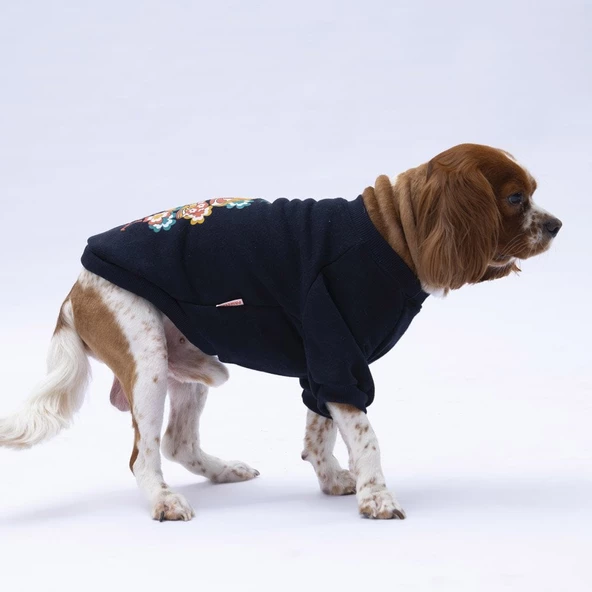 PawStar Siyah Chogqing Sweat Küçük ve Orta Irk - 2
