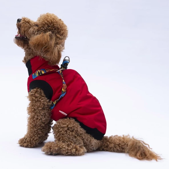 PawStar  Kırmızı Nuuk Kolsuz Yelek Yağmurluk Küçük ve Orta Irk - 5