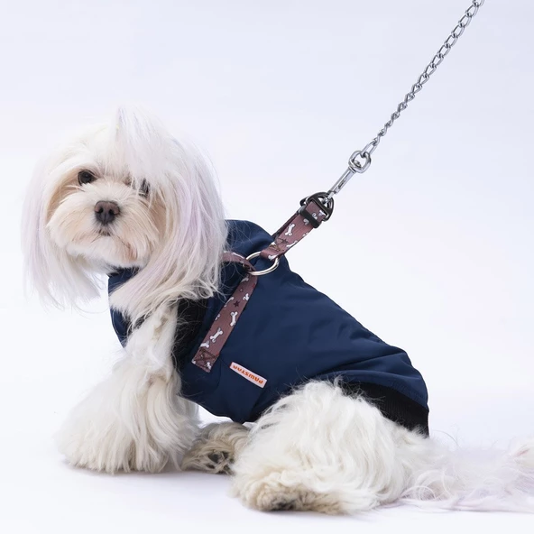 PawStar  Gri Lacivert Nuuk Kolsuz Yelek Yağmurluk Küçük ve Orta Irk - 4