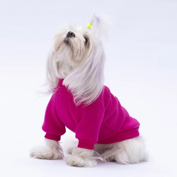 PawStar Pembe Chogqing Sweat Küçük ve Orta Irk - Resim 4