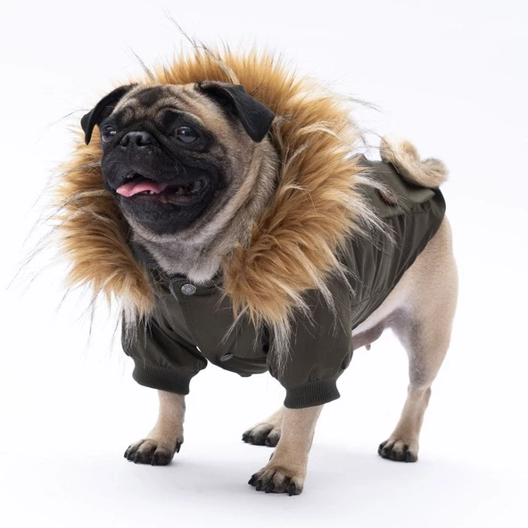 PawStar Haki Charles Yağmurluk Küçük ve Orta Irk - Resim 2