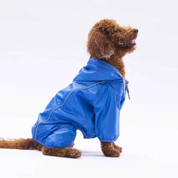 PawStar  Sax Mavi Muson Tulum Yağmurluk Küçük ve Orta Irk - Resim 2