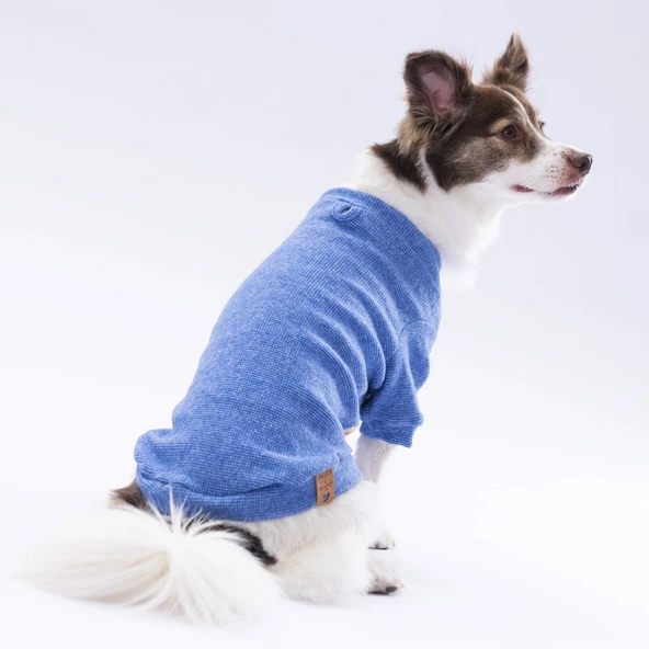 PawStar Mavi Merino Sweat Küçük ve Orta Irk - 3