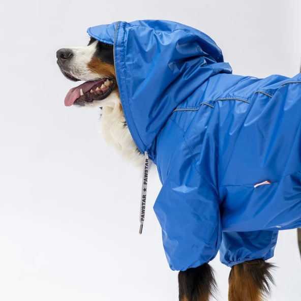 PawStar Sax Mavi Muson Büyük Irk Yağmurluk - 2
