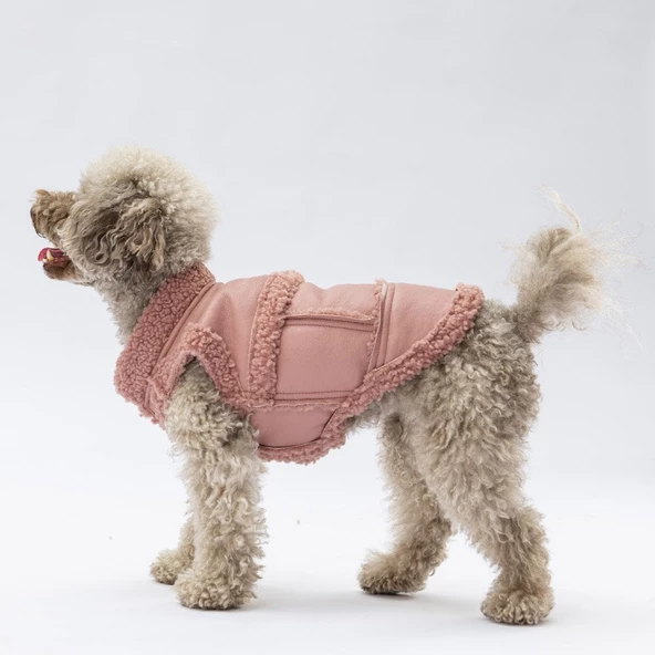 PawStar Rose Churchill Kolsuz Yelek Küçük ve Orta Irk - Resim 2