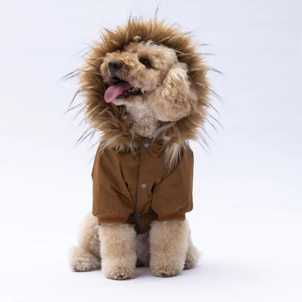 PawStar Camel Charles Yağmurluk Küçük ve Orta Irk - Resim 2