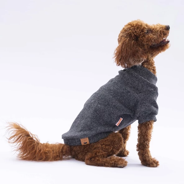 PawStar Siyah Merino Sweat Küçük ve Orta Irk - Resim 3