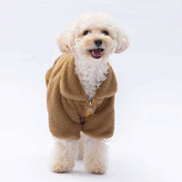 PawStar Kahverengi Paris Ceket Küçük ve Orta Irk Ceket - 2