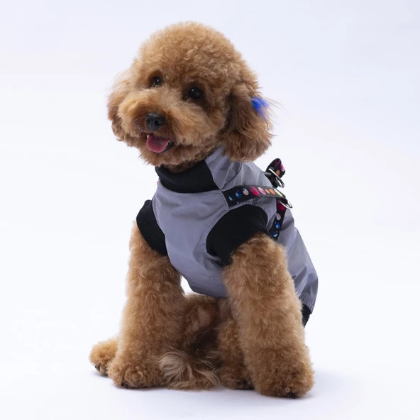 PawStar  Gri Nuuk Kolsuz Yelek Yağmurluk Küçük ve Orta Irk - 4