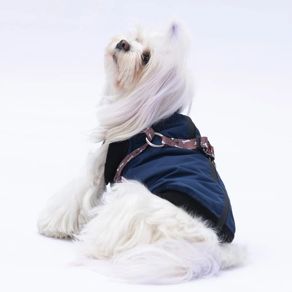 PawStar  Gri Lacivert Nuuk Kolsuz Yelek Yağmurluk Küçük ve Orta Irk - 2