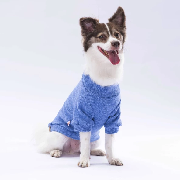 PawStar Mavi Merino Sweat Küçük ve Orta Irk - 2