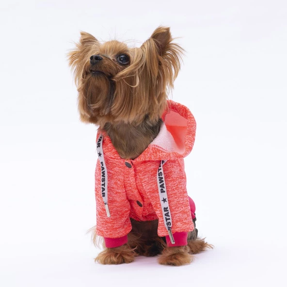 PawStar Pembe New York Tulum - 3