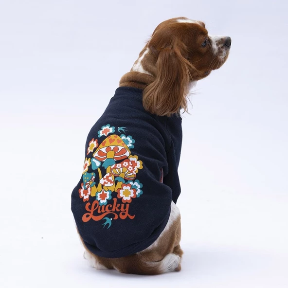 PawStar Siyah Chogqing Sweat Küçük ve Orta Irk