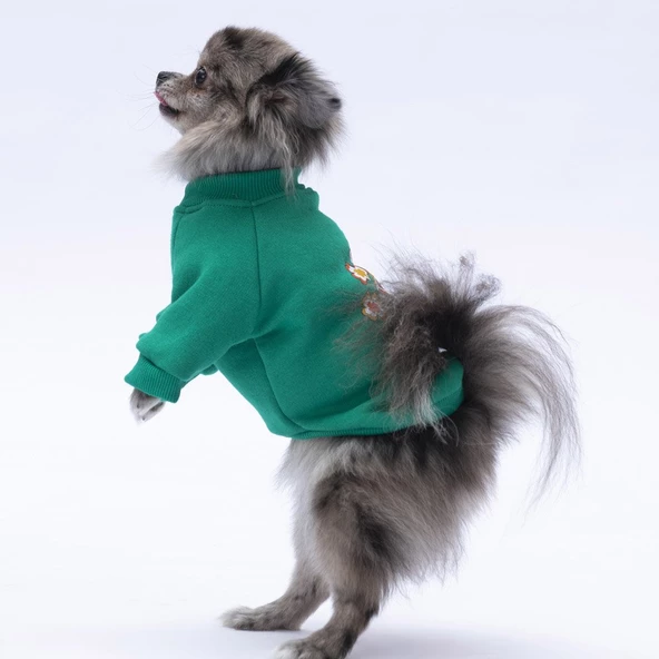 PawStar Yeşil Chogqing Sweat Küçük ve Orta Irk - Resim 2
