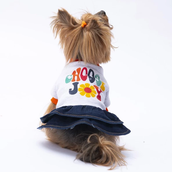 PawStar Gri Santa Rosa Elbise ürün görseli