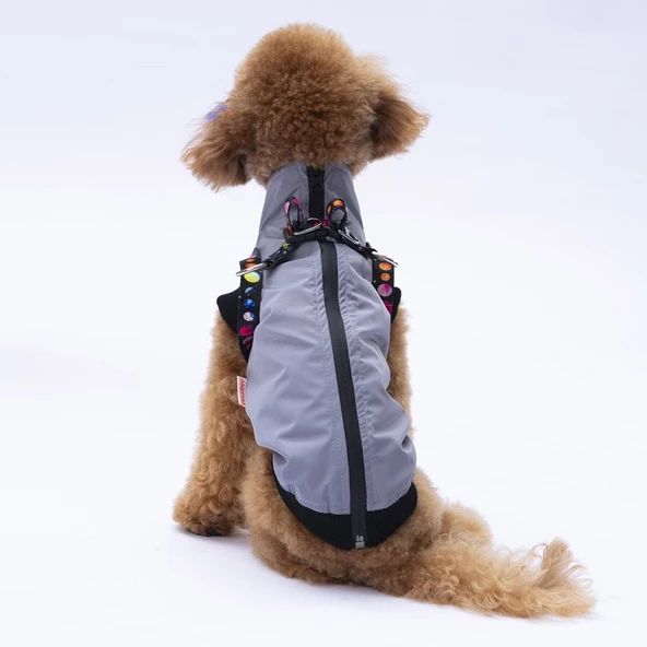 PawStar  Gri Nuuk Kolsuz Yelek Yağmurluk Küçük ve Orta Irk - 2
