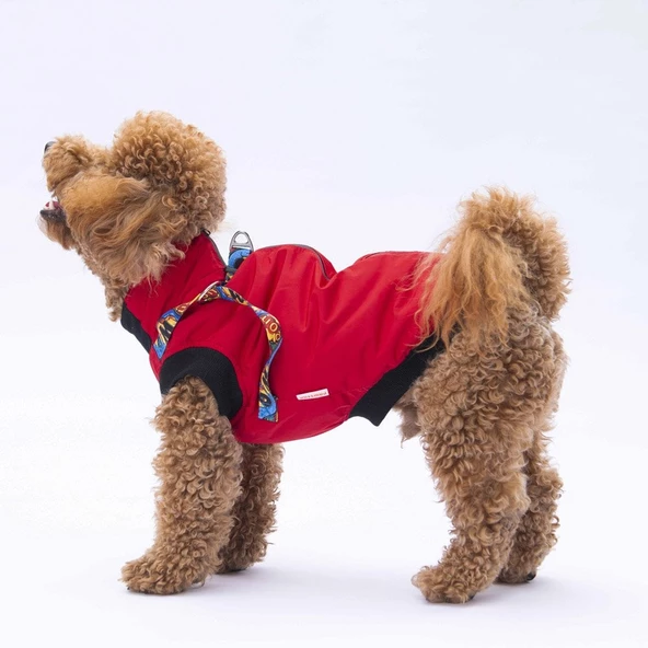 PawStar  Kırmızı Nuuk Kolsuz Yelek Yağmurluk Küçük ve Orta Irk - 4
