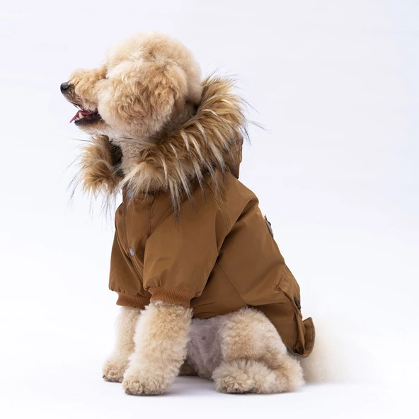 PawStar Camel Charles Yağmurluk Küçük ve Orta Irk - Resim 4