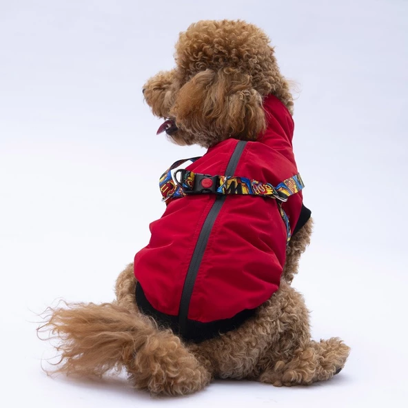 PawStar  Kırmızı Nuuk Kolsuz Yelek Yağmurluk Küçük ve Orta Irk - 2