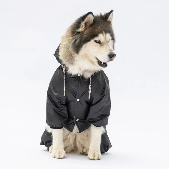 PawStar Siyah Muson Büyük Irk Yağmurluk - 5