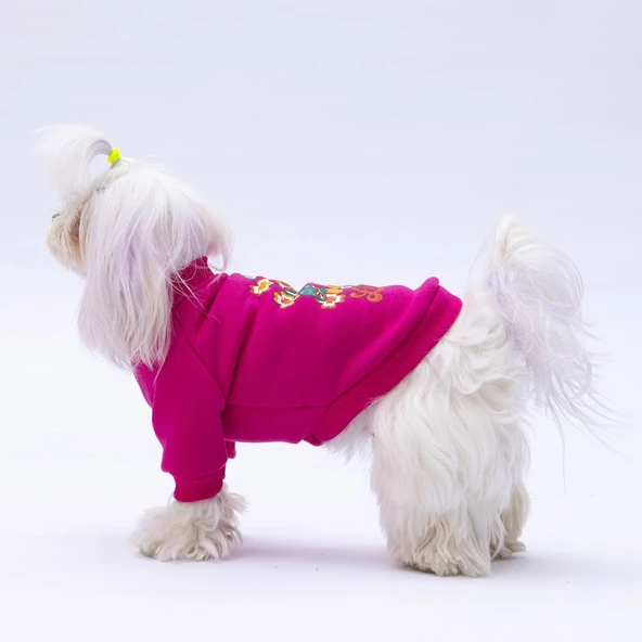 PawStar Pembe Chogqing Sweat Küçük ve Orta Irk - Resim 2