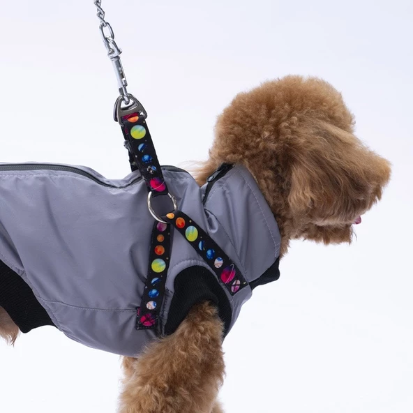 PawStar  Gri Nuuk Kolsuz Yelek Yağmurluk Küçük ve Orta Irk