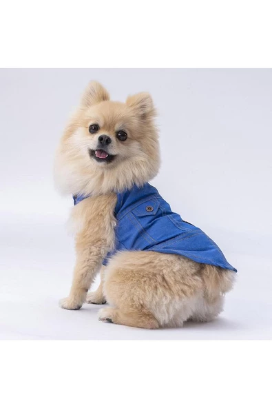 Denim Look Kedi Köpek Gömleği - Kedi Köpek Kıyafeti