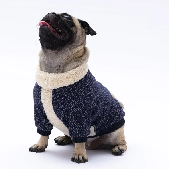 PawStar Lacivert Alaska Sweat Küçük ve Orta Irk - Resim 2