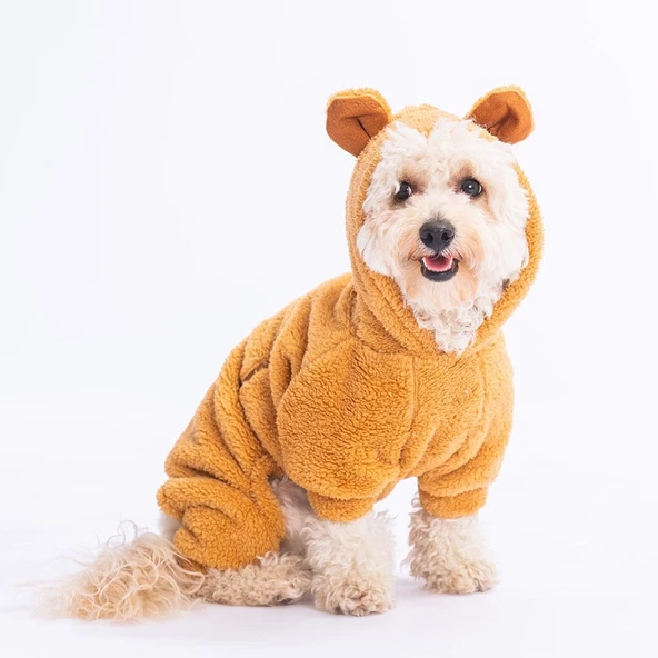 PawStar Kahverengi Koala Küçük Irk Tulum - 3