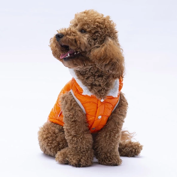 PawStar Turuncu Light Wave Yelek Küçük ve Orta Irk - Resim 2