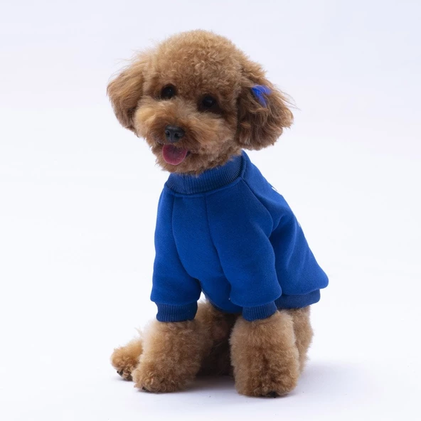 PawStar Sax Mavi Lahti Sweat Küçük ve Orta Irk - 3