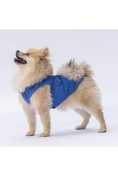 Denim Look Kedi Köpek Gömleği - Kedi Köpek Kıyafeti - 3