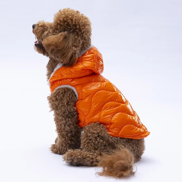 PawStar Turuncu Light Wave Yelek Küçük ve Orta Irk ürün görseli