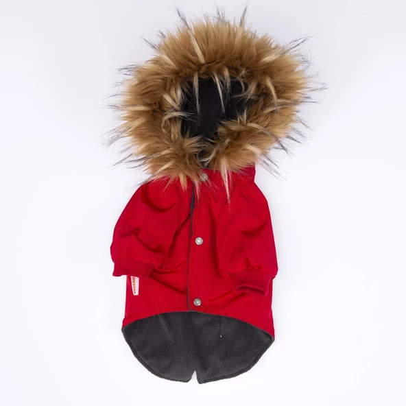 PawStar Kırmızı Charles Büyük Irk Yağmurluk Mont - 7