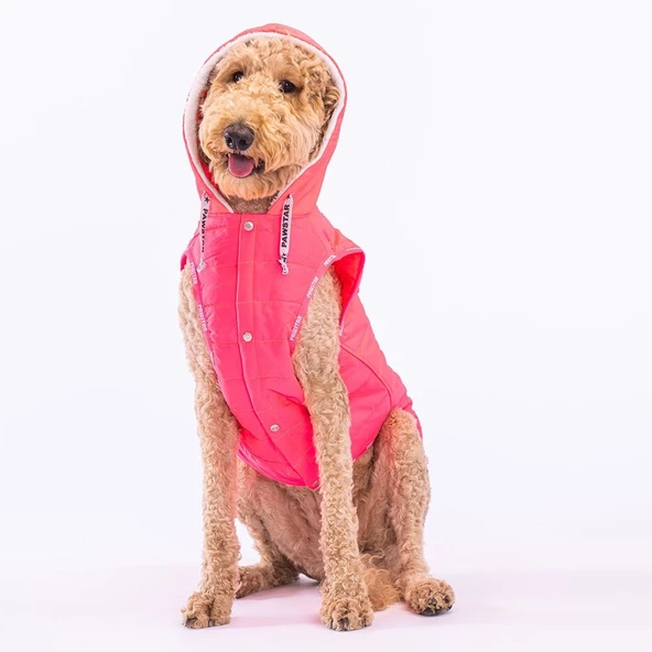 PawStar Neon Fuşya Railway Büyük Irk Yelek - 2