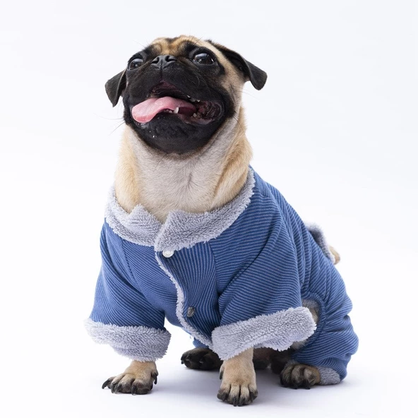 PawStar Mavi Alabama Tulum Küçük ve Orta Irk - 3