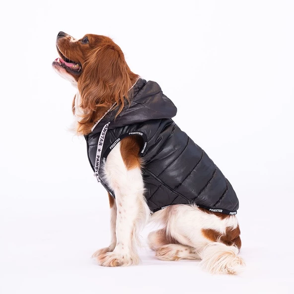 PawStar Siyah Railway Küçük ve Orta Irk Yelek - 2