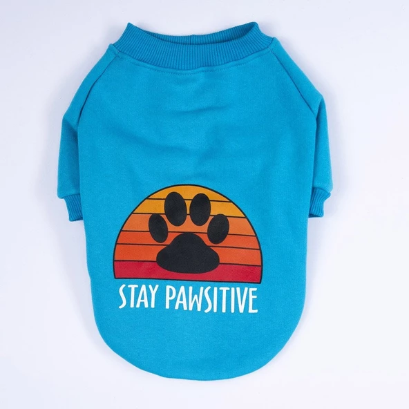 PawStar Turkuaz Carmel Büyük Irk Sweat - Resim 4