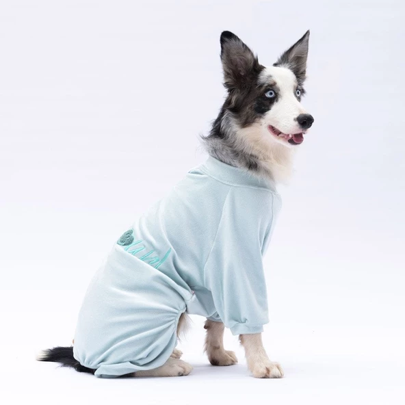 PawStar Mint Angers Büyük Irk Tulum - Resim 2